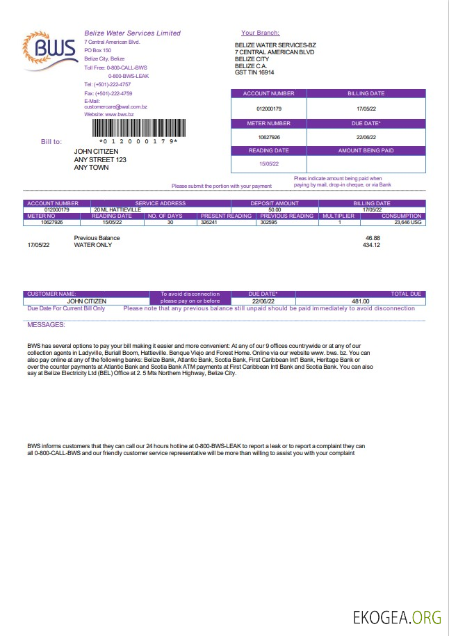 Belize Water Services Limited utility bill template in Word and PDF format